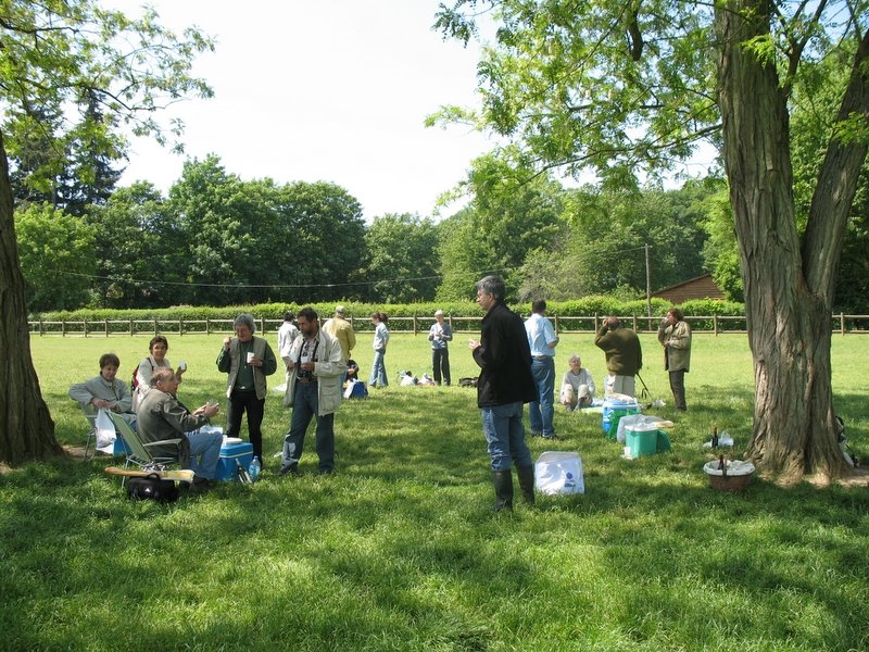 2006 pique nique champêtre